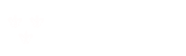 Uniejowskie Centrum Obsługi Przedsiębiorcy